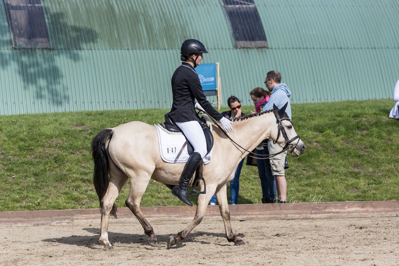 Bild 669 - Pony Akademie Turnier